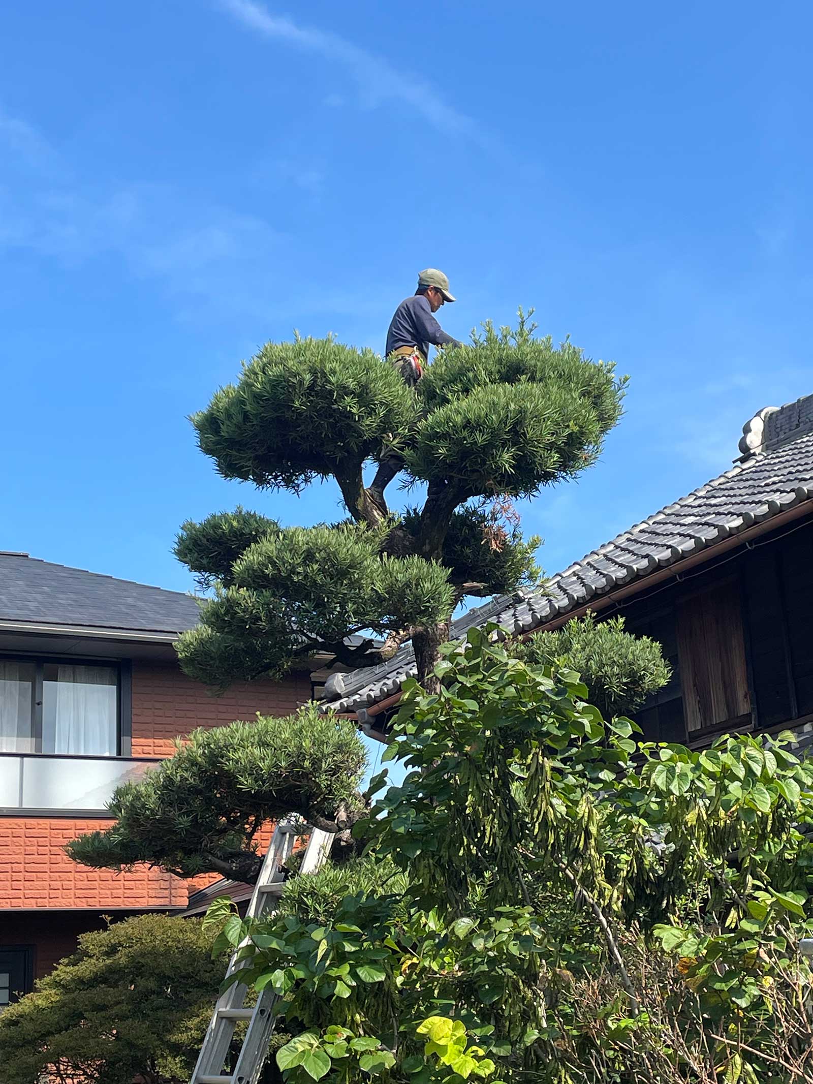 安城市の襖・障子・網戸・畳の張替え 手張り表具職人の店 和紙屋(かずしや)安城北店
