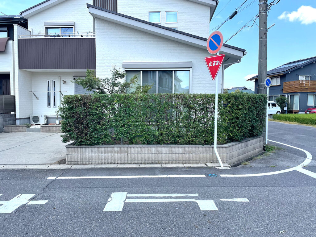 安城市　F様邸　庭木の剪定|安城市の襖・障子・網戸・畳の張替え　手張り表具職人の店 和紙屋（かずしや）安城北店