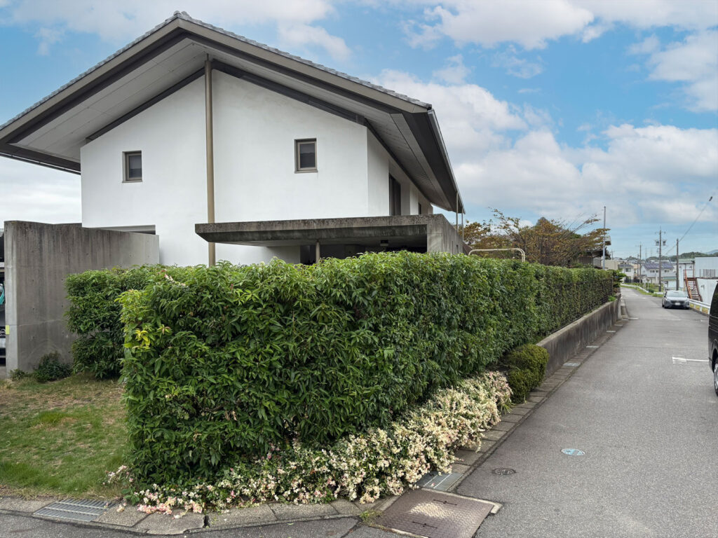 安城市　I様邸　庭木の剪定|安城市の襖・障子・網戸・畳の張替え　手張り表具職人の店 和紙屋（かずしや）安城北店