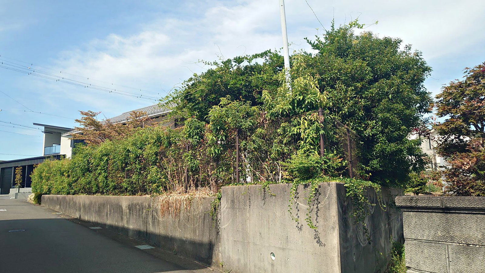 安城市の襖・障子・網戸・畳の張替え　手張り表具職人の店 和紙屋（かずしや）安城北店