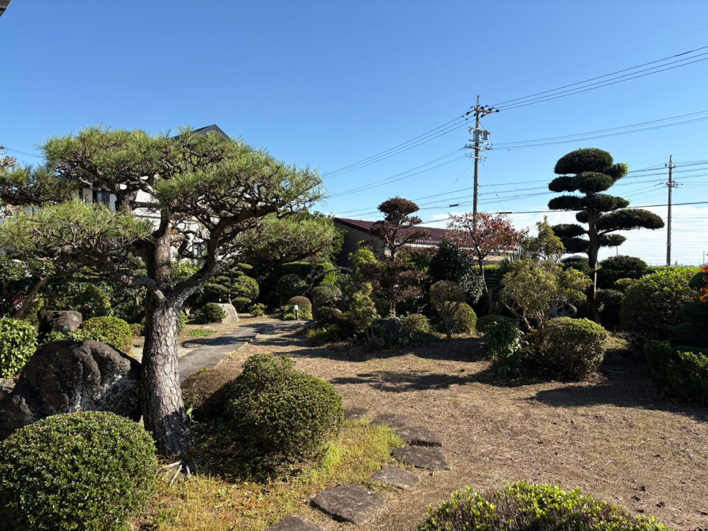 安城市　H.K.様邸　広大な敷地の庭木の剪定（二回目）|安城市の襖・障子・網戸・畳の張替え　手張り表具職人の店 和紙屋（かずしや）安城北店