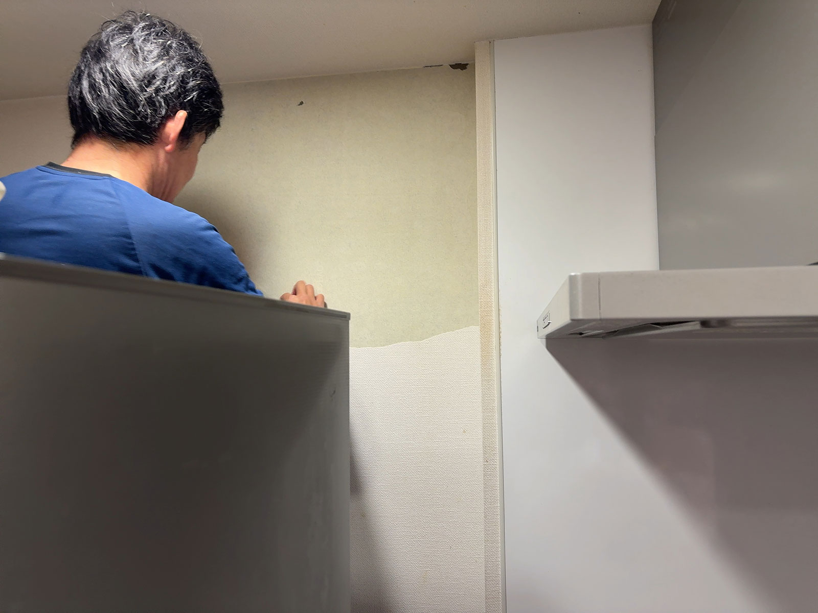 安城市の襖・障子・網戸・畳の張替え　手張り表具職人の店 和紙屋（かずしや）安城北店