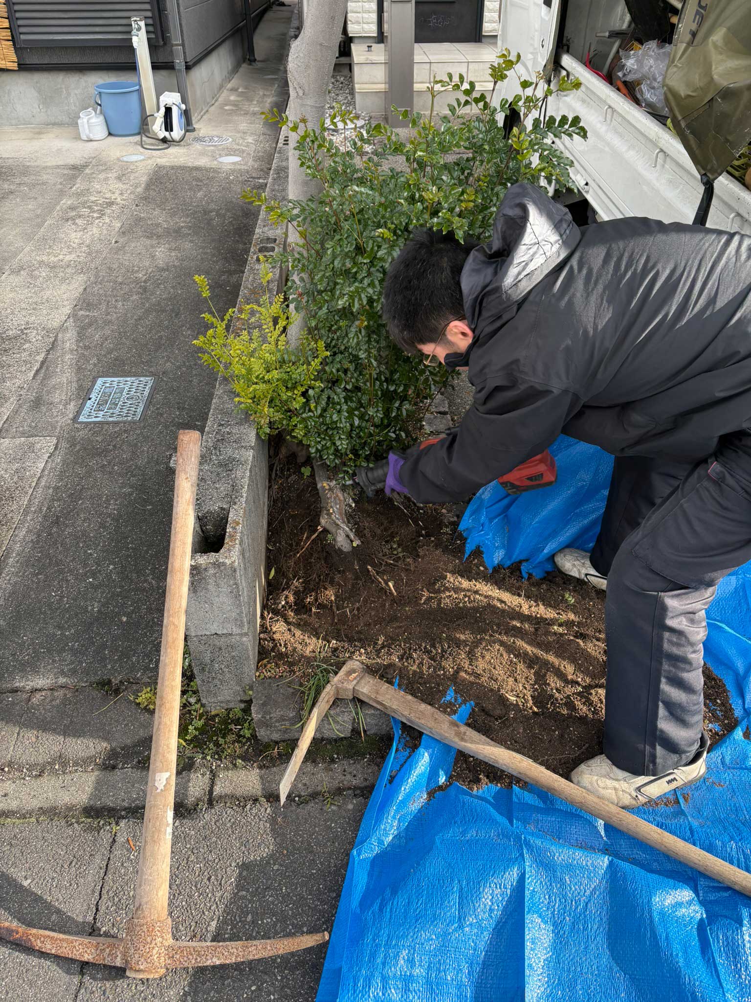 安城市　G様邸　大きくなりすぎた庭木の撤去|安城市の襖・障子・網戸・畳の張替え　手張り表具職人の店 和紙屋（かずしや）安城北店