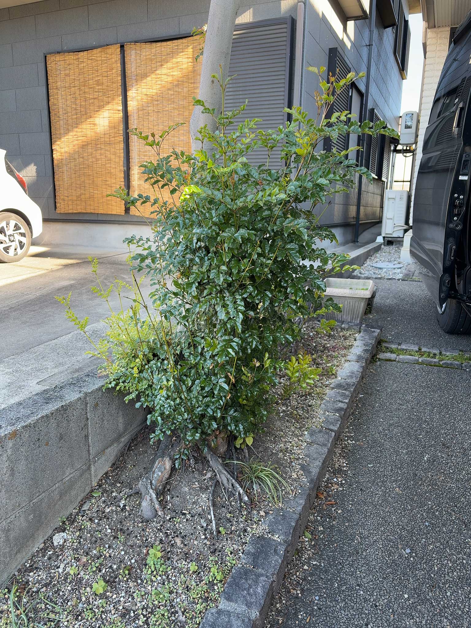 安城市の襖・障子・網戸・畳の張替え　手張り表具職人の店 和紙屋（かずしや）安城北店