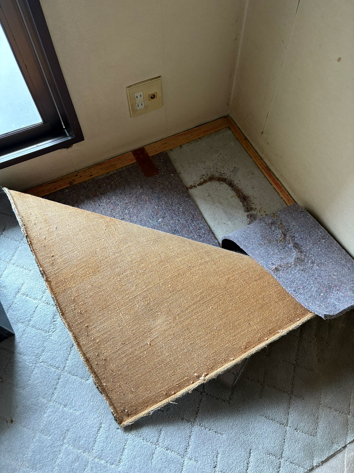 安城市の襖・障子・網戸・畳の張替え　手張り表具職人の店 和紙屋（かずしや）安城北店